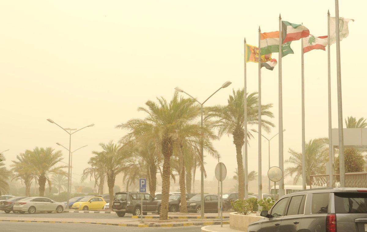 الأرصاد: طقس شديد الحرارة ورياح مثيرة للغبار